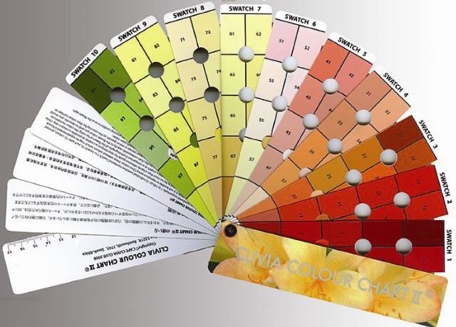 Pollen Color Chart