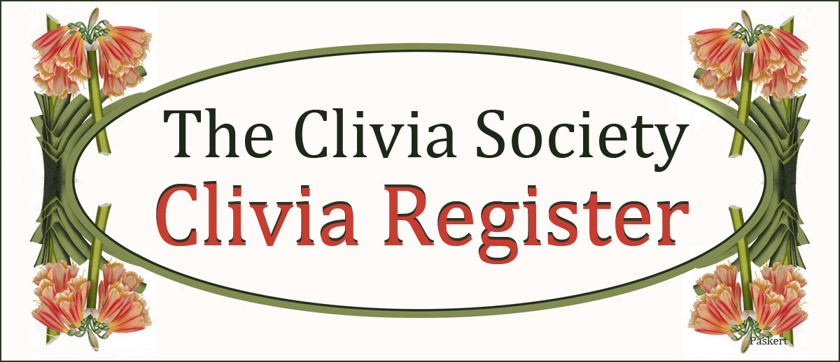 Clivia