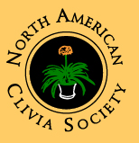 NACS Color Logo