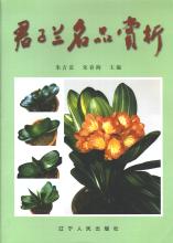 Appreciation  of Chinese Clivia by Zhu Jifu (c) by Zhu Jifu.