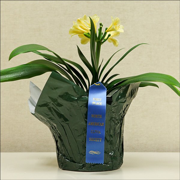 foliagestandardleavesmedium.jpg